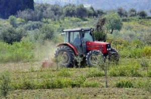 22.800.000 ευρώ στους Νέους Αγρότες της Κρήτης